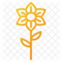 Flowers  Icon