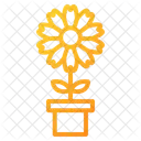 Flowers Flower Nature Icon