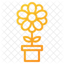 Flowers Flower Nature Icon