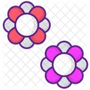 Flowers  Icon