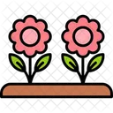 Flowers Daisies Floral Icon