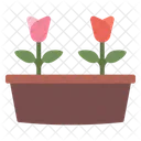 Flowers Tulip Pot Icon