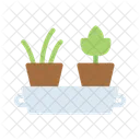 Flowers Potted Domestic Icon