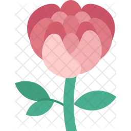 Flowers  Icon