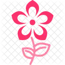 Flowers Bloom Petals Icon