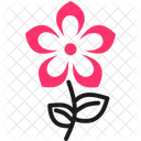 Flowers Bloom Petals Icon