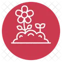 Flowers Flower Nature Icon