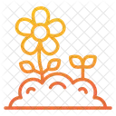 Flowers Flower Nature Icon