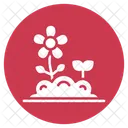 Flowers Flower Nature Icon