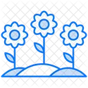 Flowers  Icon