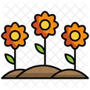 Flowers Flower Nature Icon