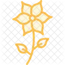 Flowers  Icon