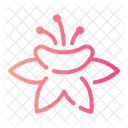 Flowers  Icon