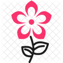 Flowers Bloom Petals Icon
