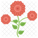 Flowers Nature Rose Icon