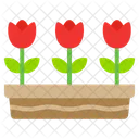Flowers  Icon