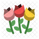 Bouquet Compassion Flower Icon
