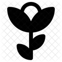 Flowers  Icon
