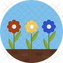Flowers Flower Garden Icon