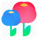 Flowers Bloom Holland Icon