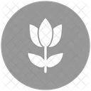 Flowers Heart Flowers Heart Rosebuds Icon