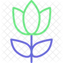 Flowers Heart Flowers Heart Rosebuds Icon
