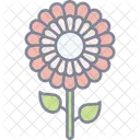Flowers  Icon