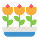 Flowers  Icon