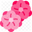 Chinese New Year Cultures Icon