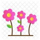 Flowers  Icon