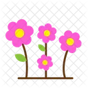 Flowers  Icon