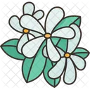 Flowers  Icon