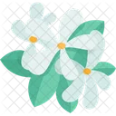 Flowers Flora Floral Icon