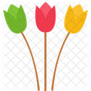 Flowers Bouquet Compassion Icon