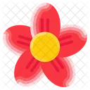 Flowers Flower Nature Icon