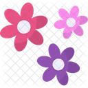 Flowers  Icon