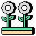 Flowers Floweret Blossom Icon