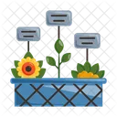 Untitled Icon