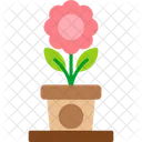 Flowers Beauty Bloom Icon