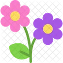 Flowers Floral Spring Icon