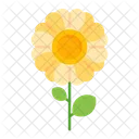 Flower Nature Beautiful Icon