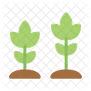 Flowers Plant Blossom Icon