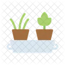 Flowers Potted Domestic Icon