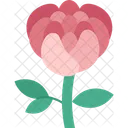Flowers Peony Prosperity Icon