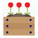Flower Nature Beautiful Icon