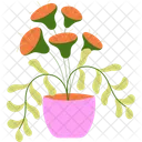 Flowers In Pots Window Apartment Icon