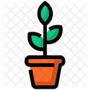 Spring Flowers Pot Icon