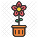 Flowers Pot Flowers Nature Icon