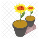 Flowers Pot  Icon