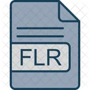 Flr File Format Icon